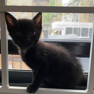 Meet your Posher, Jessica